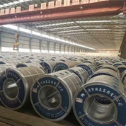 PPGL Cold Rolled Steel Coil Galvanized Iron Sheet Kulur