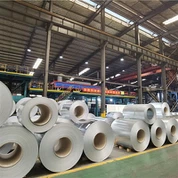 Kojl galvanizzat DX52D