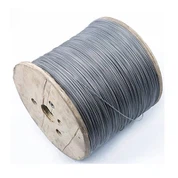 Wajer Electro Galvanizzat